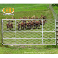 Australia steel pipe animal livestock cattle farm gate